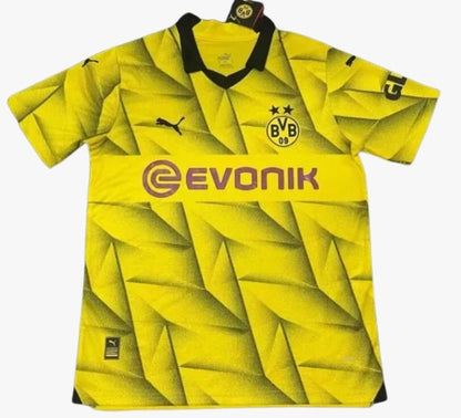 Dortmund 2023/2024 third shirt